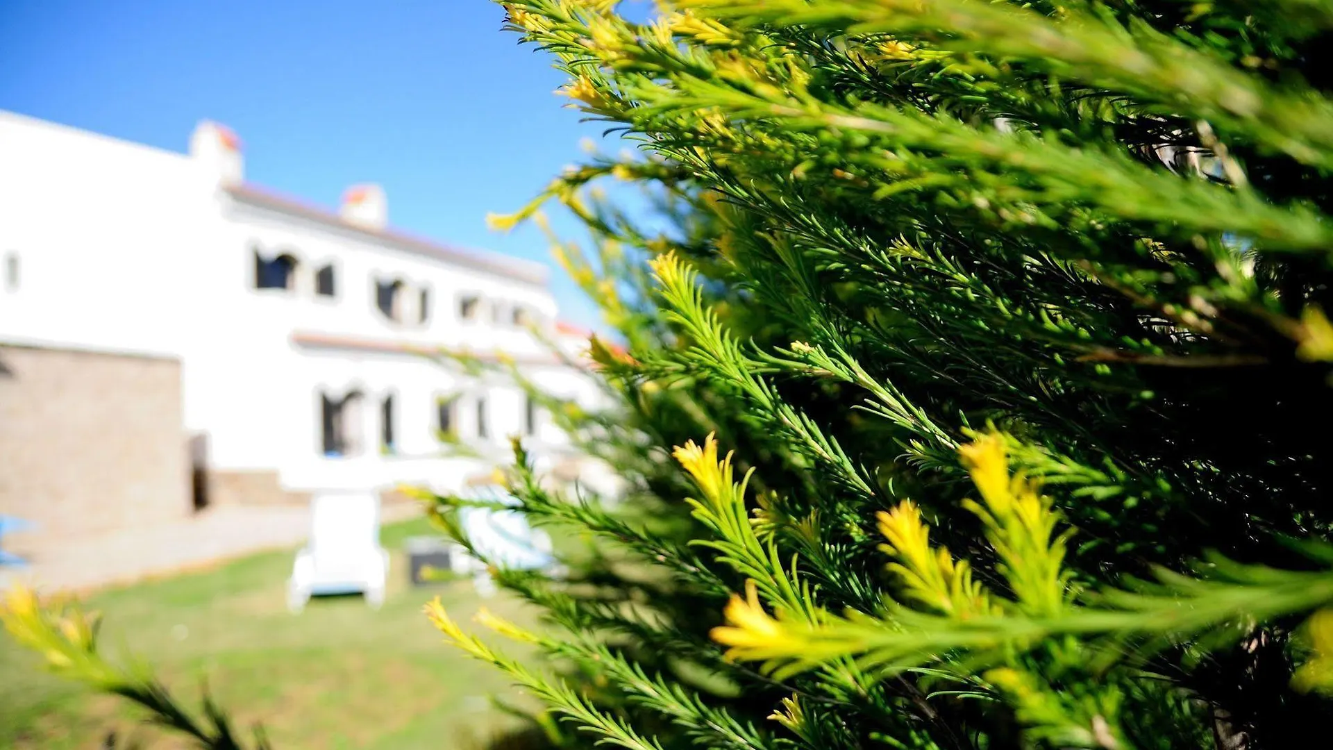 Tonel Apartamentos Turisticos Sagres